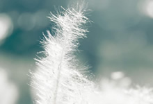 强队碰撞，谁能夺得胜利？看球迷的预测